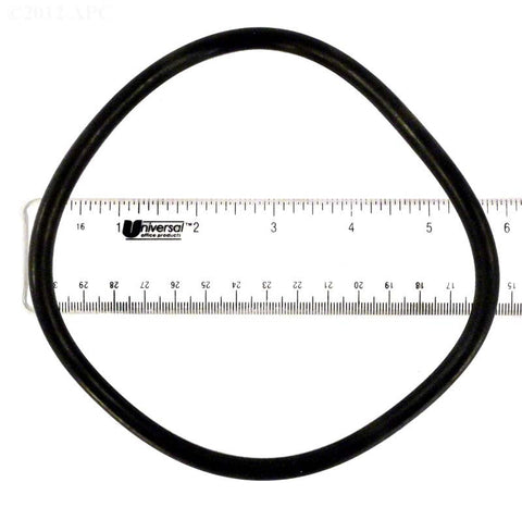 Lid O-ring for Jandy®Flopro™Fhpm Series Pumps - Poolweb Image