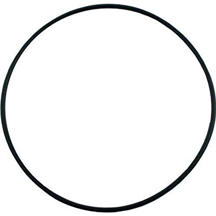 Housing O-ring Gasket for Powerflo Ii(tm) Sp1700 Pump Series - Pool Supplies Canada Image 1