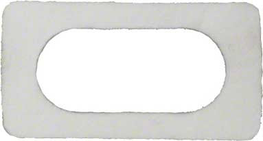 Igniter Gasket for Sta-rite(r) Max-e-therm and Mastertemp(r) Heater Electrical System - Poolweb Image