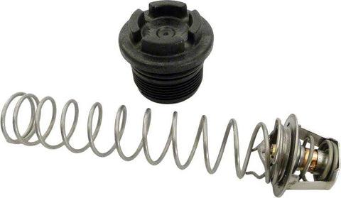 Thermal Regulator Kit for Max-e-therm and Mastertemp®Heater Water System - Poolweb Image