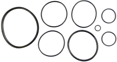 O-ring Kit for Nature2(r) Fusion Soft Mineral Sanitizer - Poolweb Image