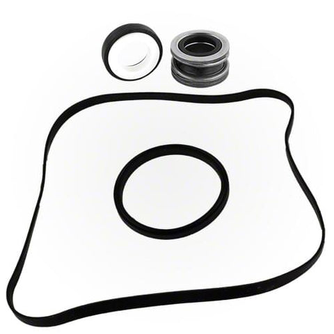Seal Assembly Kit for Super Pump®sp1600x/sp2600x; Maxflo™Sp1800x/sp2800x Pump Series - Pool Supplies Canada Image
