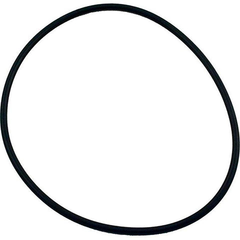 O-ring for S160t/s200 and S240 Sand Filters - Pool Supplies Canada Image
