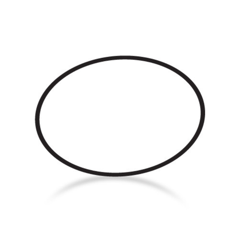 Paramount 005-302-0100-00 Valve Base O-ring for Pcc 2000; Pool Valet; Pv3; Cyclean; Vanquish; Hydro Valve - Pool Supplies Canada Image