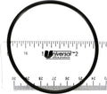 Union O-ring for Aquapure®Water Sanitizer Unions; 2 Inch - Poolweb Image