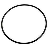 Ultrapro Housing O-ring - Pool Supplies Canada Image