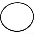 Jandy - R0487100 - O-Ring / 116 / Replacement Kit