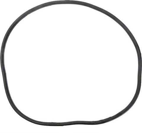 Tank Body O-ring for Plm Filter Systems; System 2 Modular Media Filter; System 2 Modular D.e. Filter - Poolweb Image