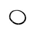 Carvin | Jacuzzi Mo Main Drain Gasket (single) - Pool Supplies Canada Image