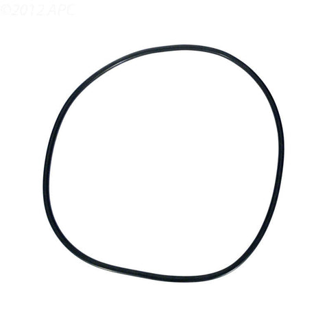 Clean & Clear Plus/ Fns Plus Tank Oring - Poolweb Image