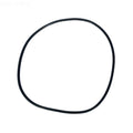 Clean & Clear Plus/ Fns Plus Tank Oring - Poolweb Image