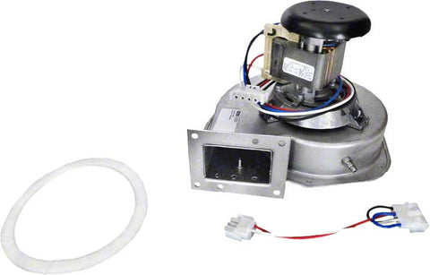 H-series Combustion Blower - Poolweb Image