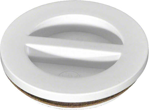 Flush Plug W/ Gasket - Poolweb Image