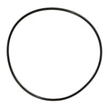Backplate O-ring for Jandy®Plushp Phpf/phpm; Stealth™Shpf/shpm Series Pumps - Poolweb Image