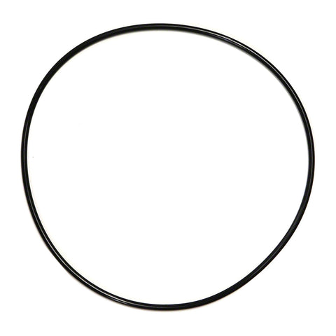 Backplate O-ring for Jandy®Plushp Phpf/phpm; Stealth™Shpf/shpm Series Pumps - Poolweb Image
