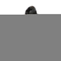 Surface Mount Auto Reset Thermostat for Model R185a; R265a; R335a; R405a Pool Heater; 135 Deg F - Poolweb Image