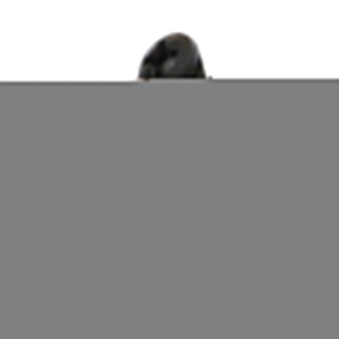 Surface Mount Auto Reset Thermostat for Model R185a; R265a; R335a; R405a Pool Heater; 135 Deg F - Poolweb Image