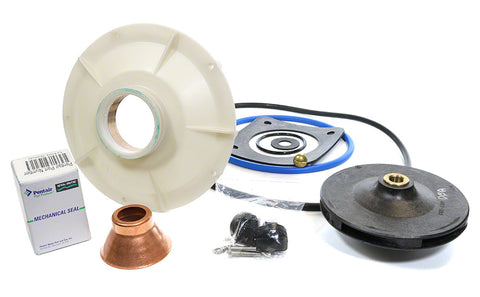 Seal/gasket Kit for Model 1-1/2 HP Pe; P2r Full Rated and 2 HP Pea; P2ra Up Rated Pump - Poolweb Image