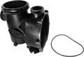 Pump Body for Jandy®Flopro™Fhpm Series Pumps - Poolweb Image