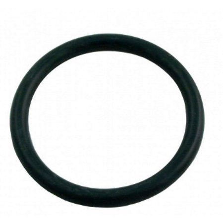 Sp0410x Piston O-ring, Small - Pool Supplies Canada Image