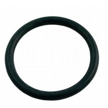 Sp0410x Piston O-ring, Small - Pool Supplies Canada Image