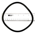 Lid O-ring for Jandy®Flopro™Fhpm Series Pumps - Poolweb Image