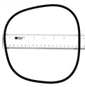 Backplate O-ring for Jandy®Flopro™Fhpm Series Pumps - Poolweb Image