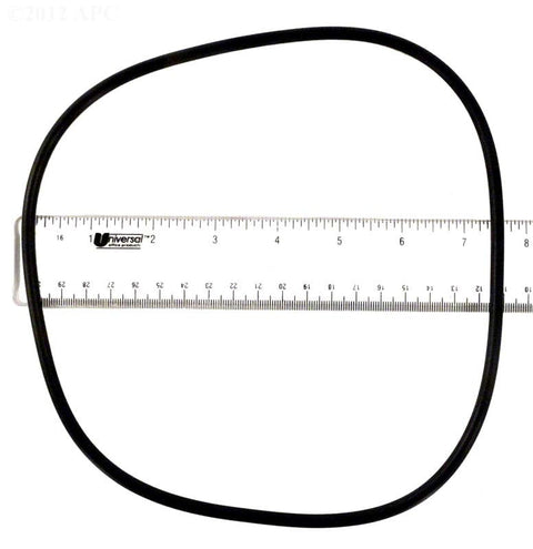 Backplate O-ring for Jandy®Flopro™Fhpm Series Pumps - Poolweb Image