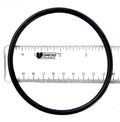 Electrode Oring - Poolweb Image
