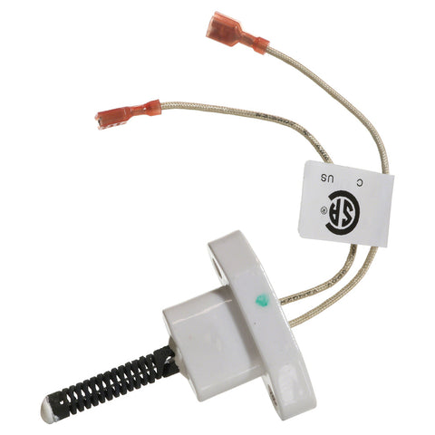 Igniter Kit for Model 200; 260; 400 Jxi(tm) Heaters - Poolweb Image