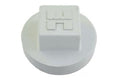 Skimmer 1.5" Pipe Plug - Pool Supplies Canada Image