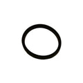 Diffuser Gasket - Pool Supplies Canada Image