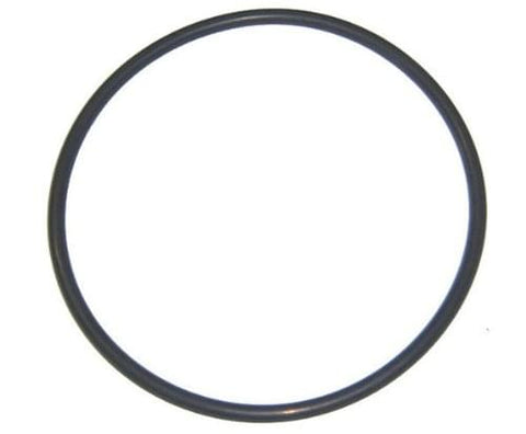 Strainer Cover O-ring for Northstar(tm) Sp4007x10(ns); Sp4010x15(ns)/2(ns) Pumps and Easyclear(tm) C400/550 Cartridge Filter - Pool Supplies Canada Image
