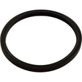 Challenger/ Superflo/ Supermax Diffuser Oring - Pool Supplies Canada Image