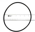 Pb4-60 Backplate Oring (after 11/2011) - Poolweb Image