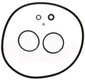 Cs100/ 150/ 200/ 250 Oring Set - Pool Supplies Canada Image