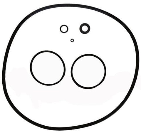 Cs100/ 150/ 200/ 250 Oring Set - Pool Supplies Canada Image