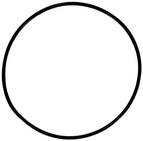 Nature2 Professional G 1pc Cap Oring - Pool Supplies Canada Image