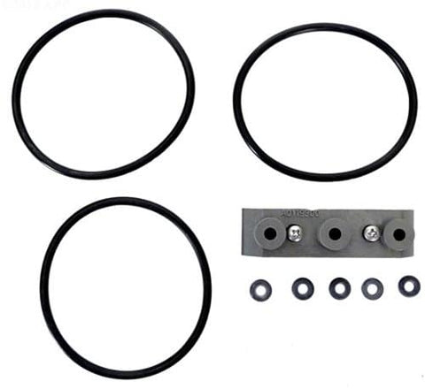 3-port Cell Unions Oring & Terminal Adapter Kit - Pool Supplies Canada Image