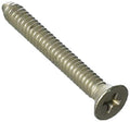 Astrolite II Lockscrew with Fastener - Pool Supplies Canada Image