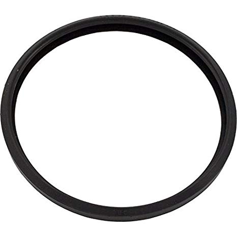 Lens Gasket for Sp0580; Sp0580s Astrolite Series - Pool Supplies Canada Image