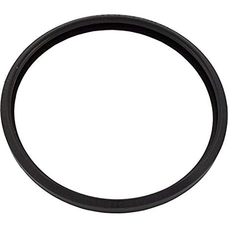 Lens Gasket for Sp0580; Sp0580s Astrolite Series - Pool Supplies Canada Image 1