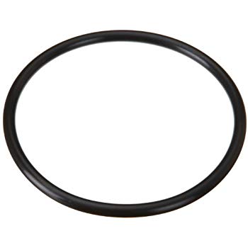 Maxflo Strainer Cover O-ring - Pool Supplies Canada Image