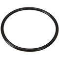 Maxflo Strainer Cover O-ring - Pool Supplies Canada Image