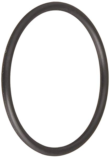 O-ring; 10/carton - Pool Supplies Canada Image