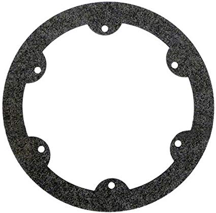 Colorlogic | Astrolite II 6" Gasket - Pool Supplies Canada Image