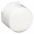 Lasco Fittings; Sch40 Cap Fpt - Pool Supplies Canada Image
