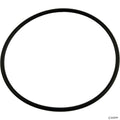 Carvin Strainer O-Ring