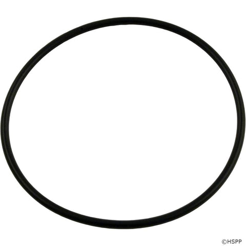 Carvin Strainer O-Ring