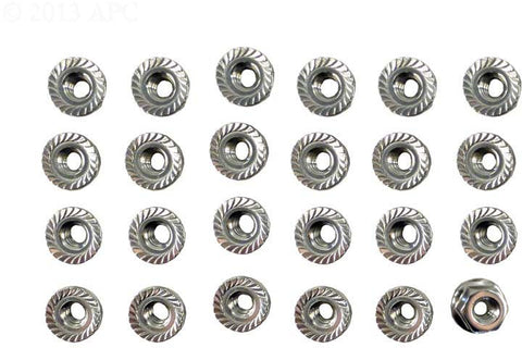.25-20 Flange Nut Kit - Poolweb Image